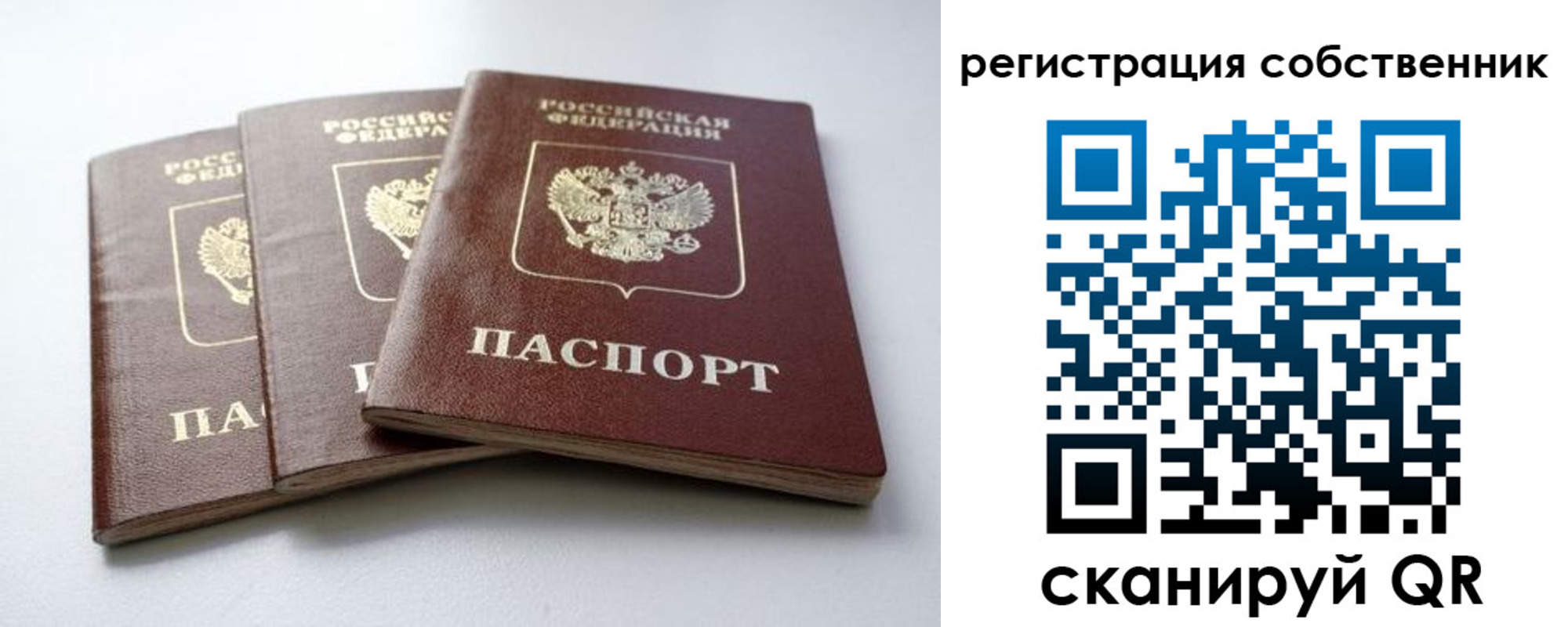 прописка для школы в Михайлове